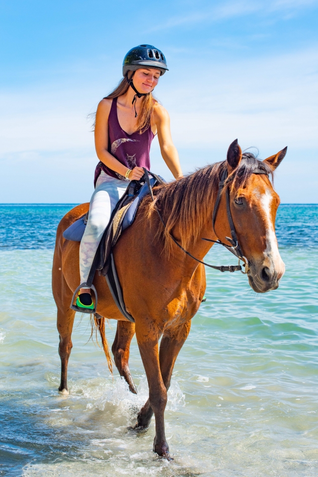 ChukkaSandyBay_Riding_Horse_on_shoreline.jpg