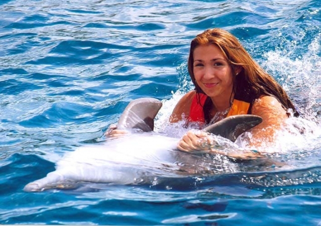 Dolphin_Cove_Jamaica_belly-ride_2556046629_o.jpg