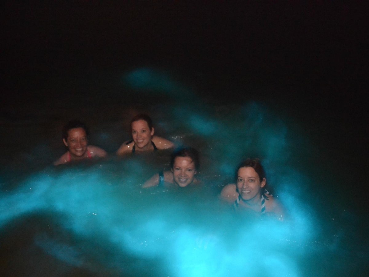 Visitors swimming in Falmouth's Luminous Lagoon at night